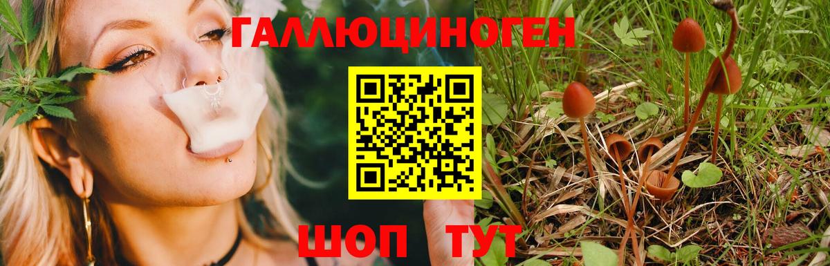 Псилоцибиновые грибы ЛСД Александров