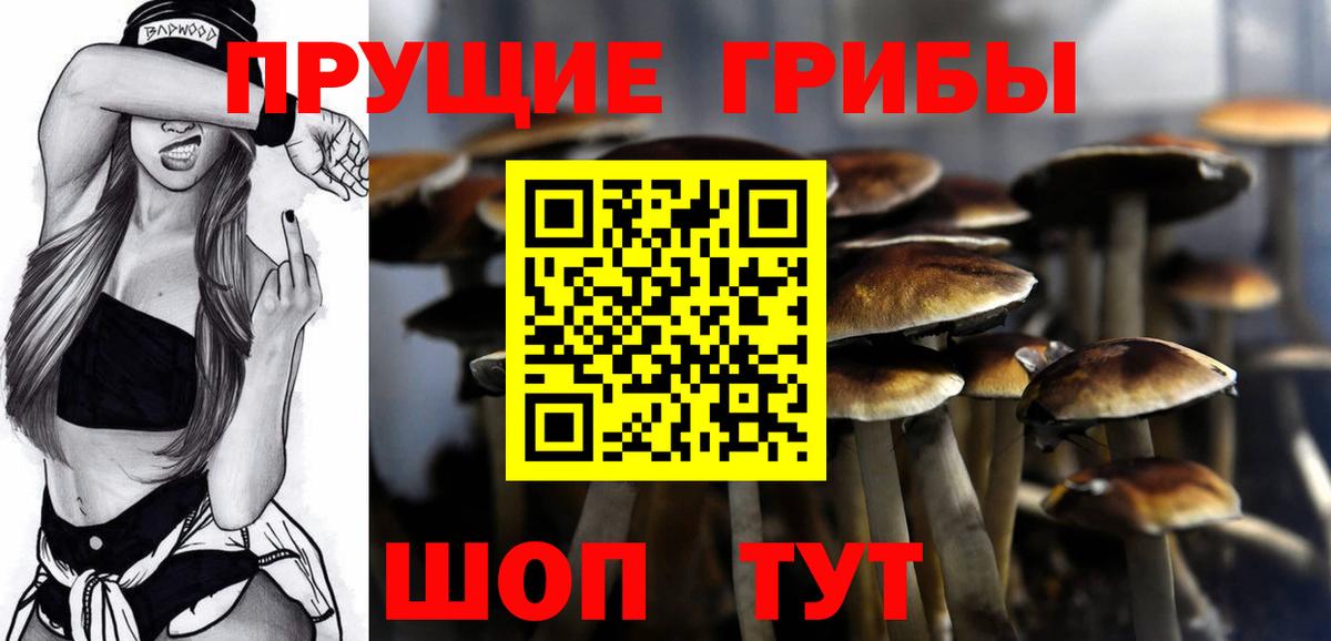 Галлюциногенные грибы мицелий  Псилоцибиновые грибы мухоморы  Александров  Вход с VPN 