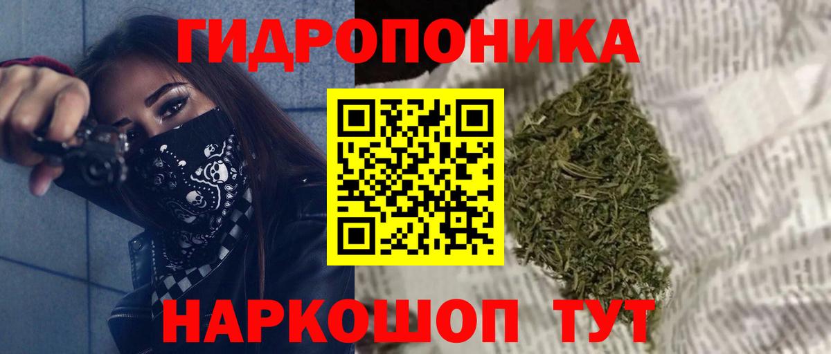 Бошки Шишки конопля  Вход с VPN  Бошки марихуана Amnesia  Александров  Конопля конопля 